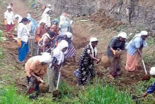 മുഖ്യമന്ത്രി വാര്‍ത്തകള്‍  മുഖ്യമന്ത്രി പിണറായി വിജയന്‍ വാര്‍ത്തകള്‍  കേരള സര്‍ക്കാര്‍ വാര്‍ത്തകള്‍  തൊഴിലുറപ്പ് പദ്ധതി വാര്‍ത്തകള്‍  employment-guarantee news'  kerala state government news  cheif minister pinarayi vijayan news