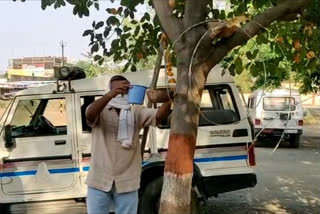 Journalists hang water vessels for birds