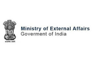 MEA playing key role in procuring crucial medical equipment to fight COVID-19: Official