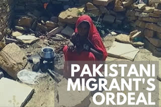 Pakistani migrants