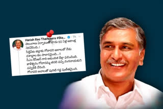 harish rao