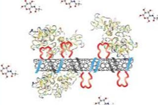 synthetic antibodies