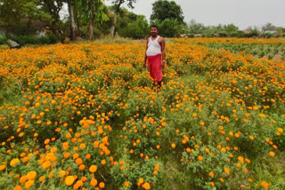 रोहतास