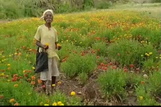 bpl card holder farmer