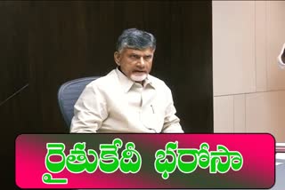 chandrababu video conference