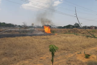 अजमेर की खबर, fire in fodder field