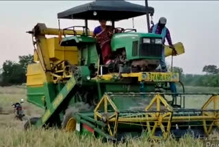 mla haripriya drive paddy cutting machine in tekupalli bhadradri kothagudem