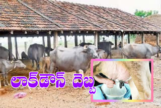 corona-effect-on-milk-industry-in-ap