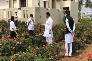 Minister R .Ashok  Check out the rose crop