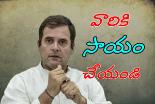 rahul gandhi on ap fisher men problems