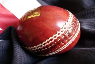 ball-tampering-may-be-legalised-in-wake-of-covid-19-crisis-report