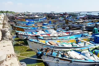 கடல் அட்டைச் சேகரிக்கும் போது மூச்சுத்திணறி உயிரிழந்த மீனவர்