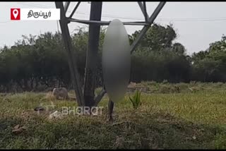 farmer suicide in electric tower in tiruppur tamil news