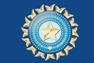 Bcci official give opinion about test series against australia