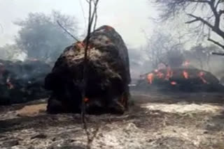 fodder burned at tarakapuram in ananthpuram