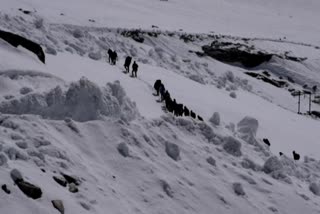 133 farmers crossed Rohtang by walking 4 km in snow