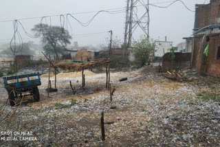 Unseasonal rains and hailstorms destroyed life