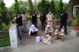 Ambala STF arrested three drug smugglers from Hisar