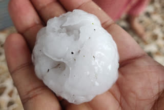 Crops of farmers being destroyed by hailstorm in koriya