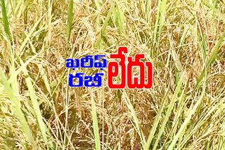 The names of Kharif and Rabi canceled in telangana