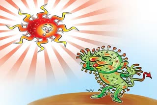 warm-weather-will-not-kill-coronavirus