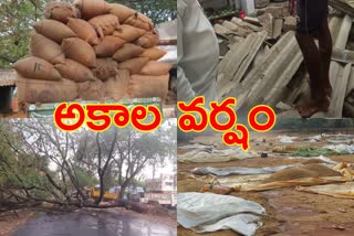 pinapaka constituency farmers suffering from unseasonal rains at khammam district