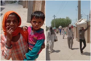 churu news  sardarsahar news  laborers going from jodhpur  jodhpur to haryana narrated  labor agony