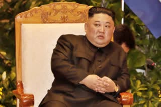 Kim Jong Un in 'vegetative state'
