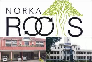 NORKA registration  പ്രവാസി വാര്‍ത്തകള്‍ക  നോര്‍ക്ക വാര്‍ത്തകള്‍  gulf latest news