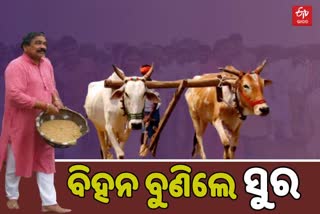 ଅକ୍ଷୟ ତୃତୀୟାରେ ଅଖିମୁଠି ବୁଣିଲେ ସୁର