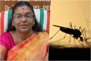 ഡെങ്കിപ്പനി ജാഗ്രത  dengue alert in pathanamthitta  pathanamthitta dengue  ഡി.എം.ഒ ഡോ. എ.എല്‍ ഷീജ  ജില്ലാ മെഡിക്കല്‍ ഓഫീസര്‍ പത്തനംതിട്ട  ജില്ലാ മലേറിയ ഓഫീസര്‍ പത്തനംതിട്ട