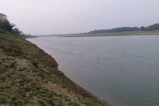 Ganges river clears more than before