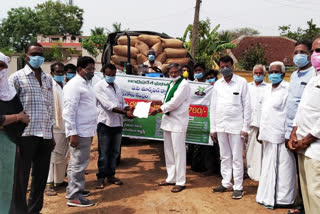 maize centre started in puritigadda at krishna district
