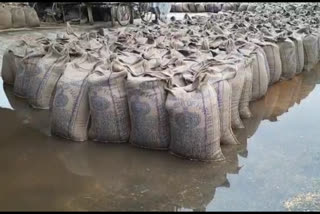 rain in kaithal grain market