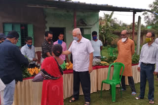 free vegetables market