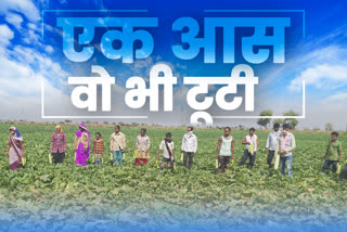 Jhalawar news, झालावाड़ की खबर