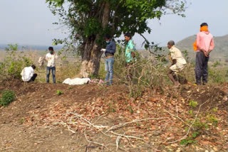 4 youth died due to lightning fall in umaria