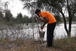 Akti festival celebrated by worshiping trees and plants in-bilaspur