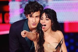 Lockdown Diaries: Shawn Mendes, Camila Cabello chill on a swing