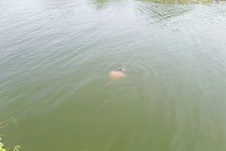 young boy drowned in pond in baliya uttar pradesh