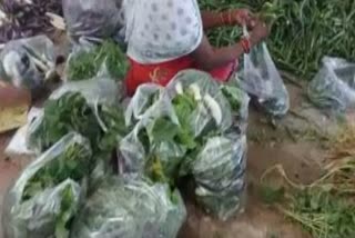 vegetable-vendors-decided-to-give-vegetables-to-poor-families-for-free-in-korba