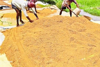 heavy crop loss in east godavari district