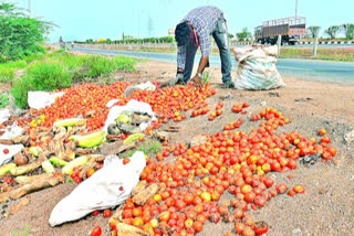 guntur man giving food cattle