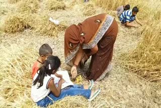 Farmer women teaching children in the fields