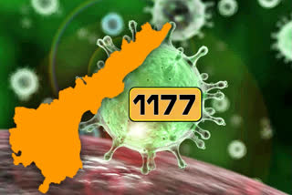 corona cases in andhra pradesh is reached to 1117