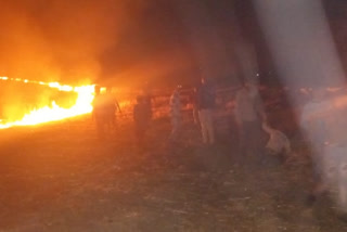 People are burning the farm even after the ban in Vidisha