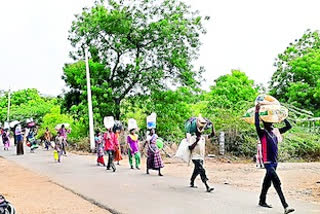 MAHARASHTRA MIGRANTS GOING TO HOMES BY WALK