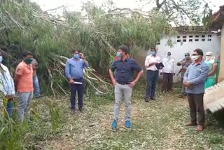 Collector inspected hailstorm affected areas in Surajpur