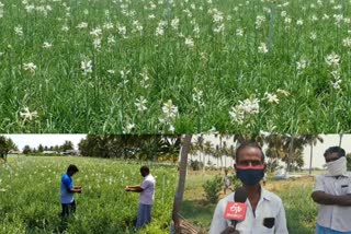 Tuberose farmers request government to provide compensation due to loss