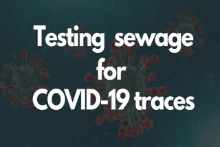 Experts developing protocol to test sewage for COVID-19 traces: Catalyst Group